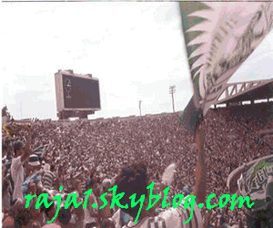 vive raja
